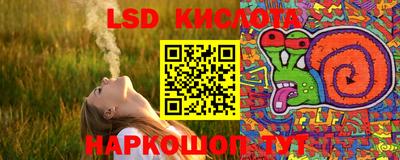ПСИЛОЦИБИНОВЫЕ ГРИБЫ Коммунар